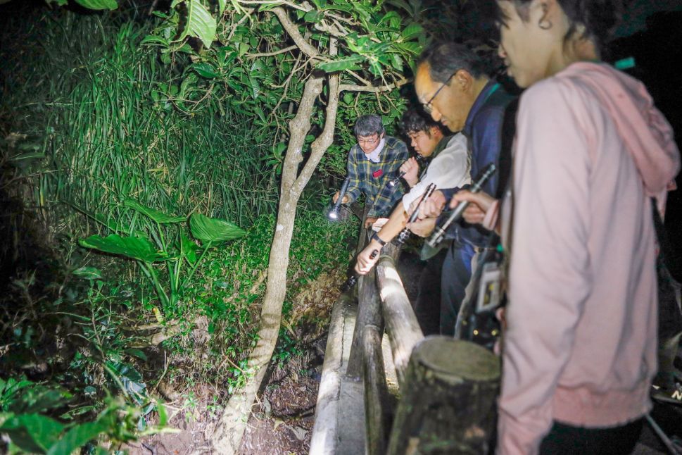 久米島ホタル館　ナイトツアー