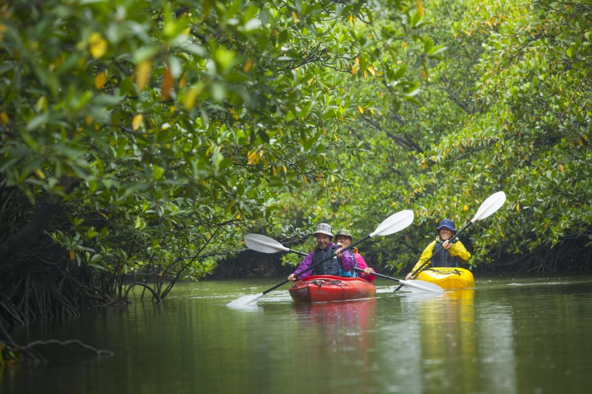 星野集团 西表岛酒店